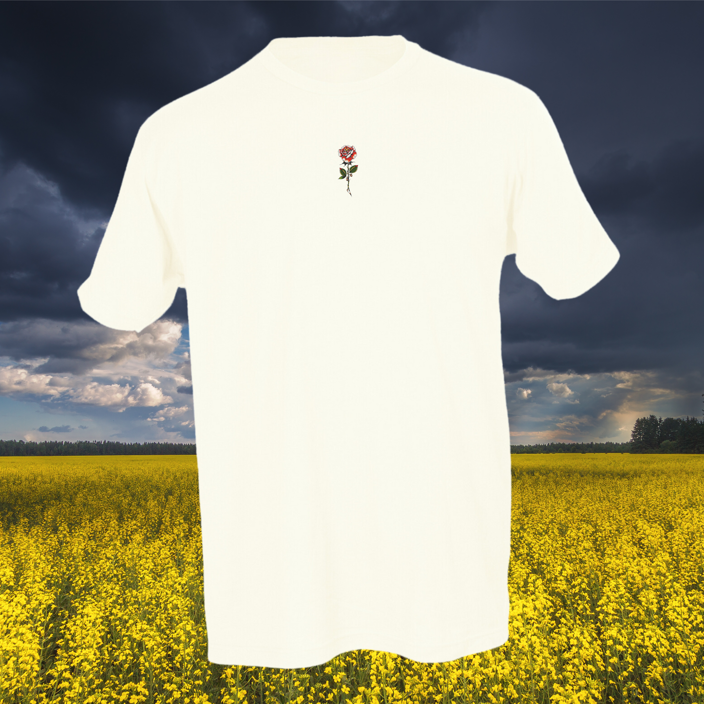 Vampire Coffin Oklahoma Skywalkers T-Shirts