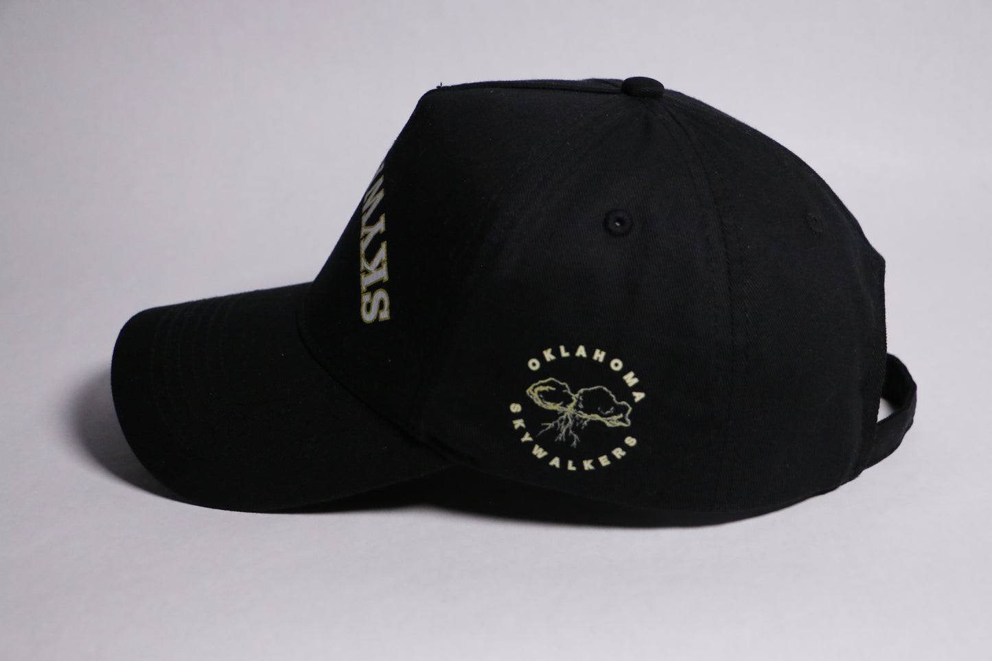 Backroads Dad Cap