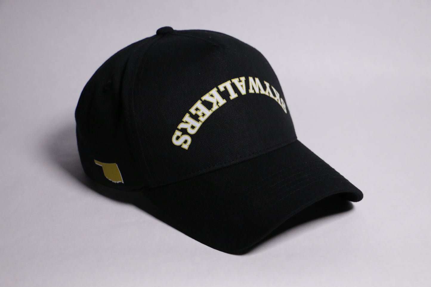 Backroads Dad Cap