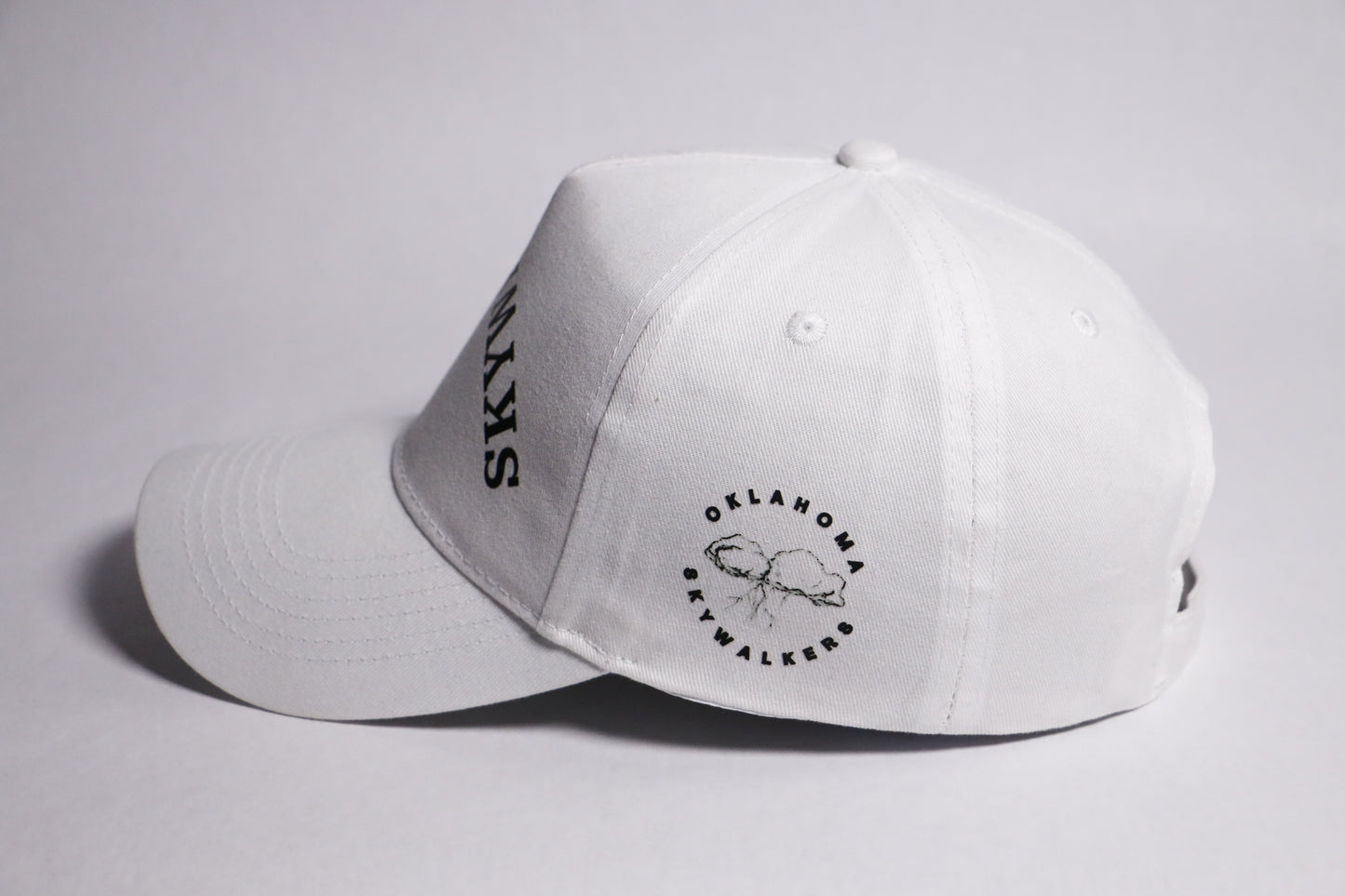 Backroads Dad Cap
