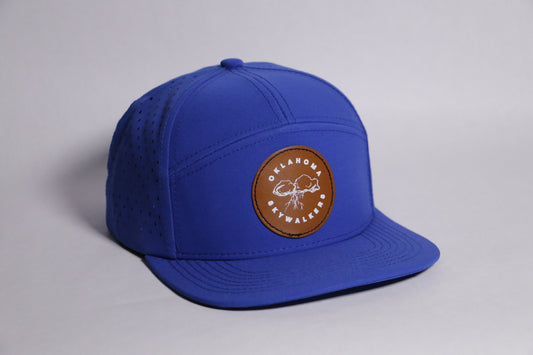 Skyline Snapback