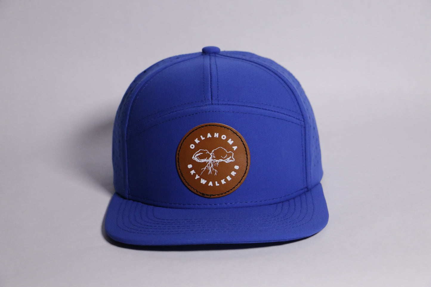 Skyline Snapback