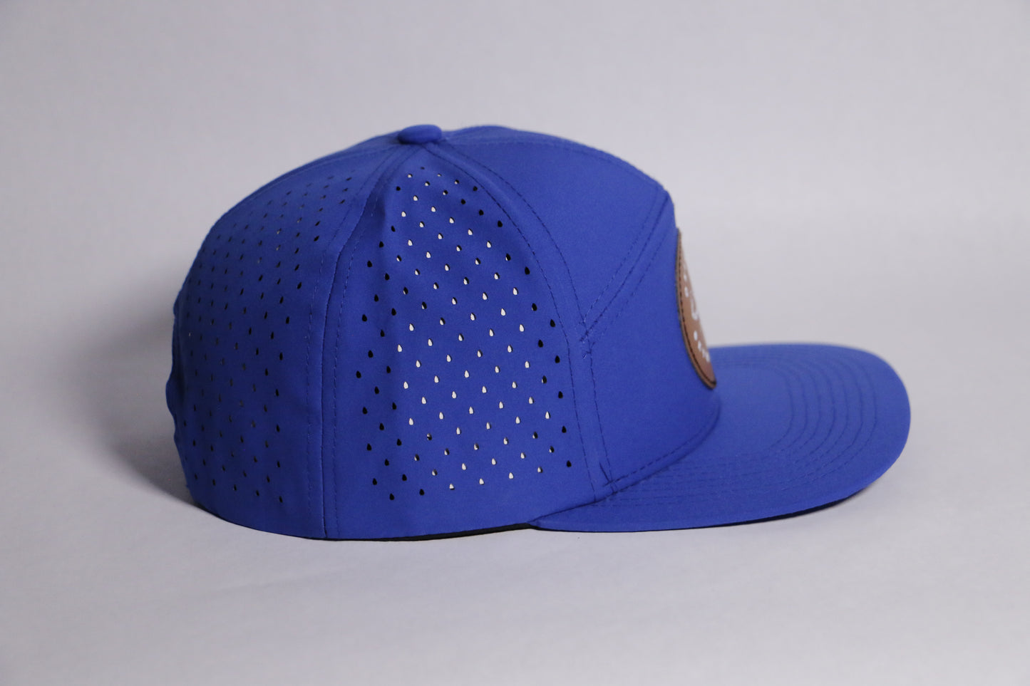 Skyline Snapback